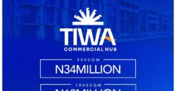 Tiwa Commercial Hub