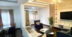 FULLY SERVICED AND FUNCTIONAL 1 & 2 BEDROOM LUXURY FURNISHED APARTMENT