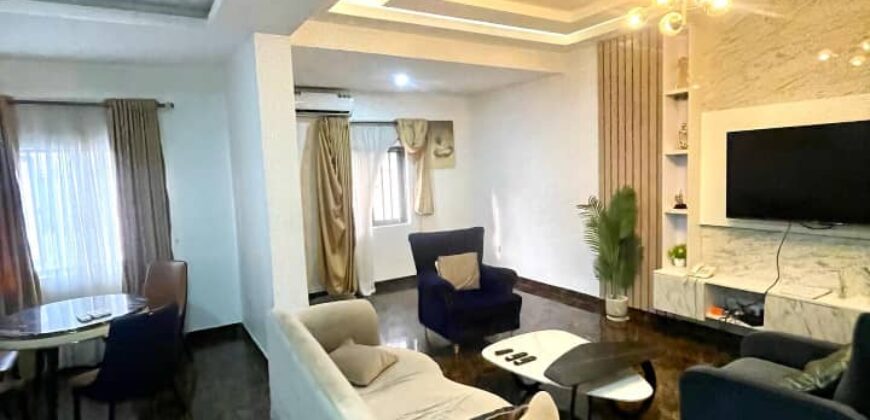 FULLY SERVICED AND FUNCTIONAL 1 & 2 BEDROOM LUXURY FURNISHED APARTMENT