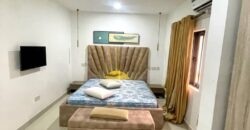 FULLY SERVICED AND FUNCTIONAL 1 & 2 BEDROOM LUXURY FURNISHED APARTMENT