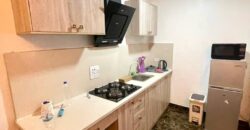 FULLY SERVICED AND FUNCTIONAL 1 & 2 BEDROOM LUXURY FURNISHED APARTMENT