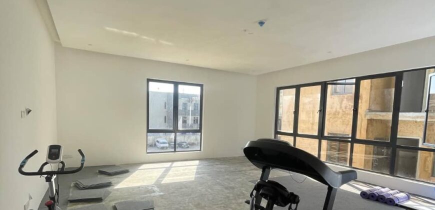 FULLY SERVICED AND FUNCTIONAL 2 BEDROOM LUXURY FLAT