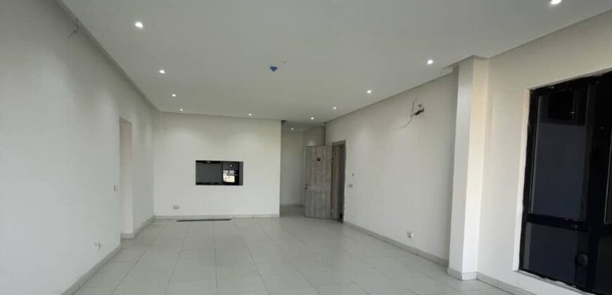 FULLY SERVICED AND FUNCTIONAL 2 BEDROOM LUXURY FLAT