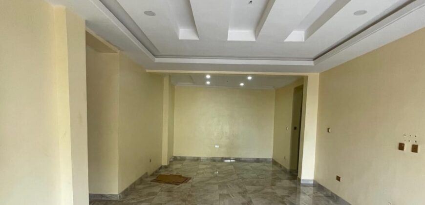 FULLY SERVICED AND FUNCTIONAL 2 BEDROOM LUXURY APARTMENT