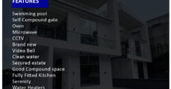 Osapa luxurious spacious 4 bedroom duplex with an indoor cinema and private swimming pool